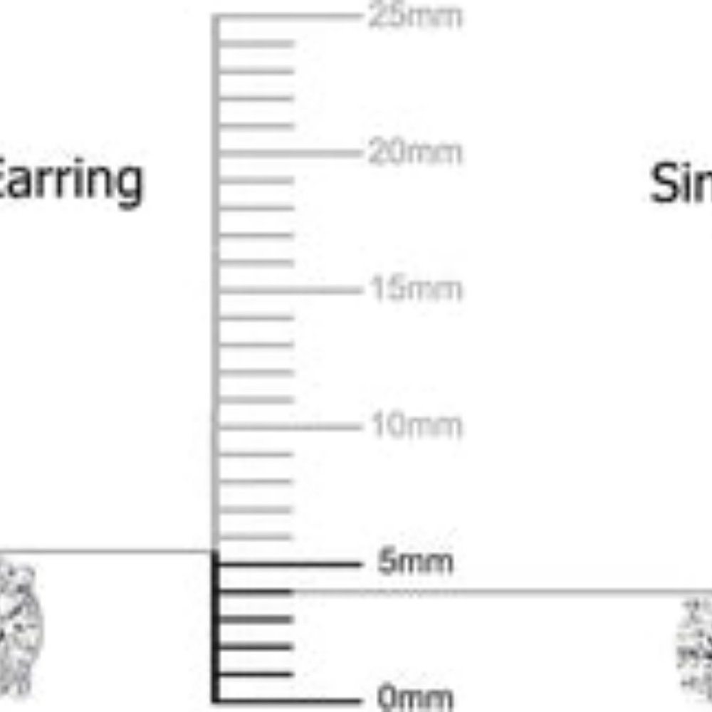 1/2Ct Diamond Stud Earrings Set in Sterling Silver